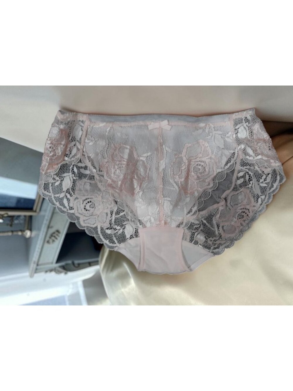 Bradelis New York Lace Panty High waisted Soft Pink Size S NEW WITHOUT TAGS!